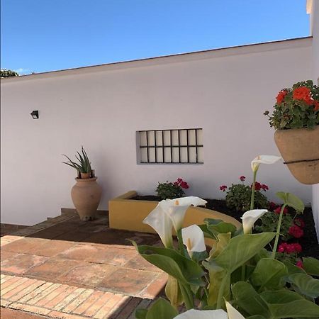 Encantador Apartamento-Centrico-Con Amplio Jardin Torremolinos Zewnętrze zdjęcie