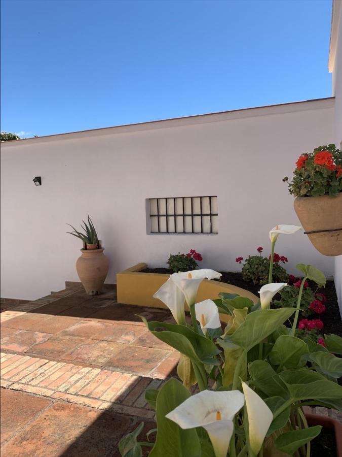 Encantador Apartamento-Centrico-Con Amplio Jardin Torremolinos Zewnętrze zdjęcie