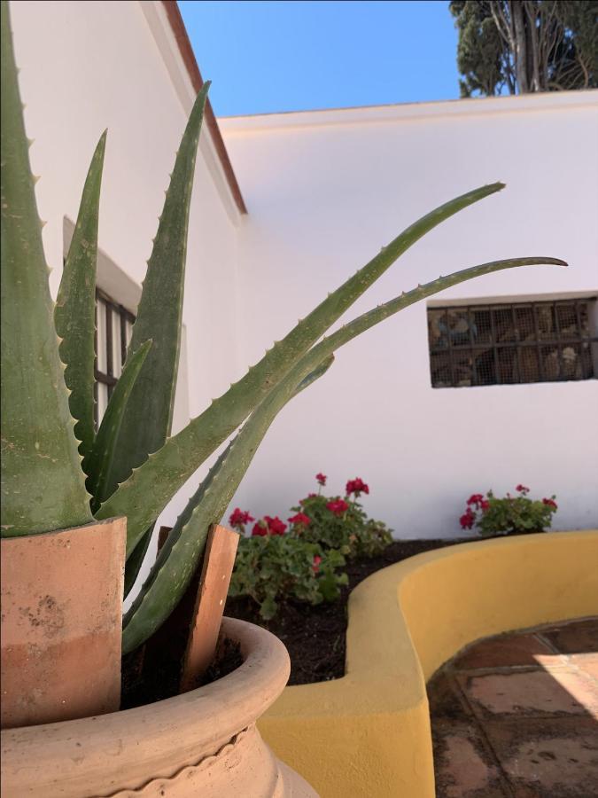 Encantador Apartamento-Centrico-Con Amplio Jardin Torremolinos Zewnętrze zdjęcie